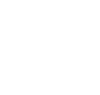 icon_x_nexa_white100